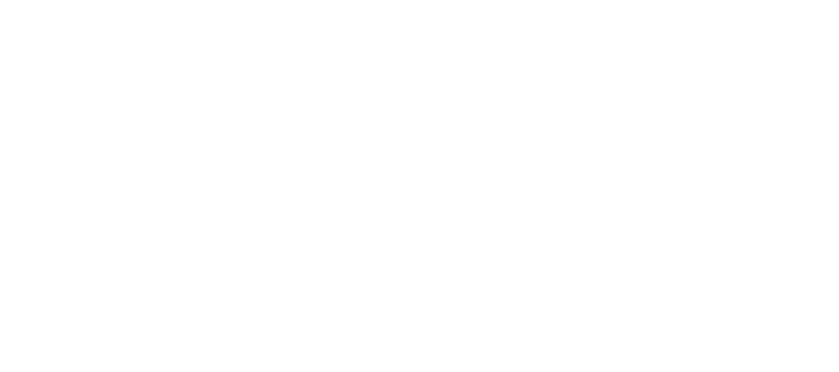 Logo_DiLo_RVB_blanc Stratégie digitale Dilo